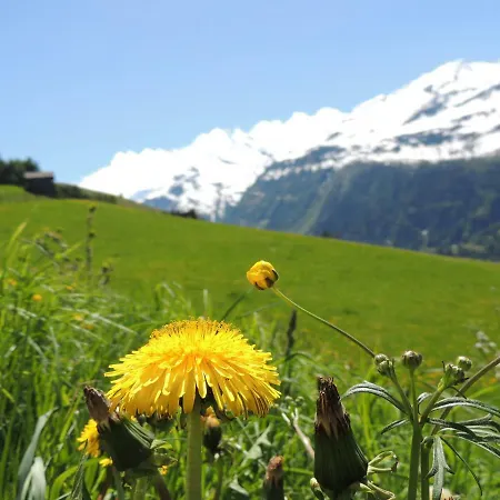 Appartement Tauernblick