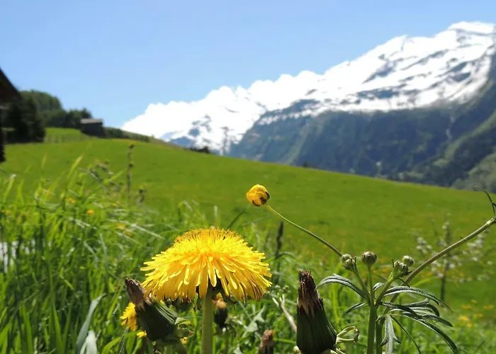 Lägenhet Tauernblick