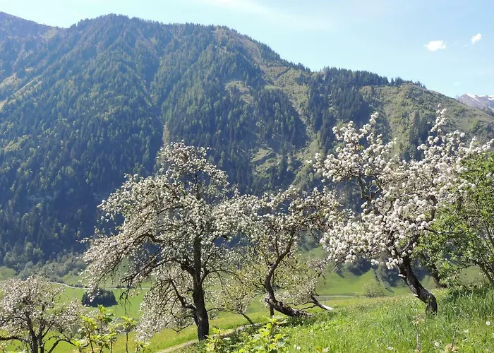 Lägenhet Tauernblick Rauris